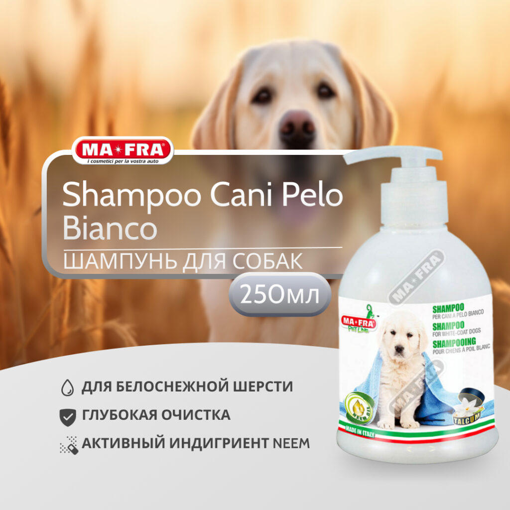 ma-fra-cani-pelo-bianco